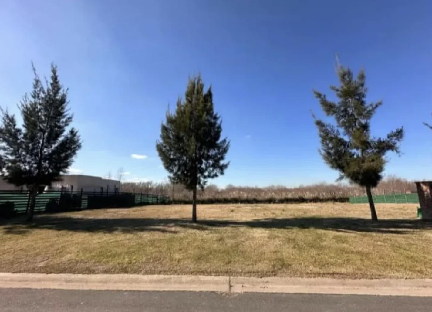 Foto de Lote en venta El Naudir, imagen 5