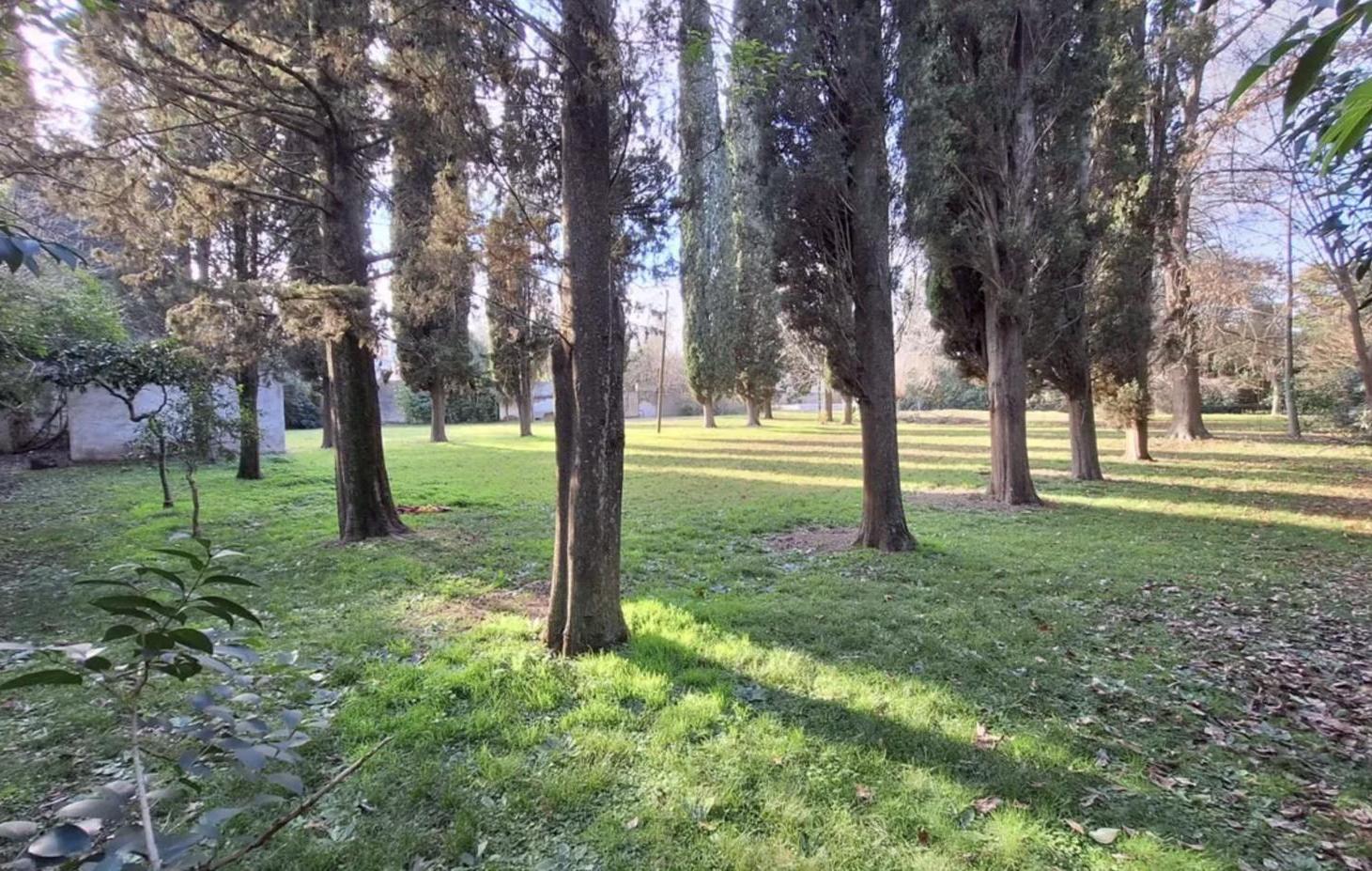 Foto de Terreno ideal para proyecto , excelente ubicacion, imagen 5