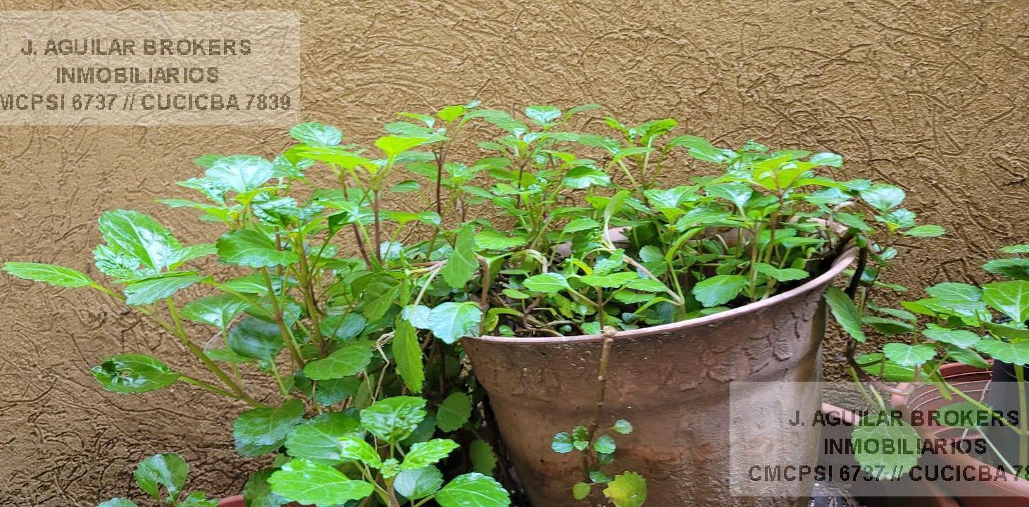 Foto de Venta Departamento 3/4 ambientes cochera Congreso Balvanera Monserrat, imagen 3