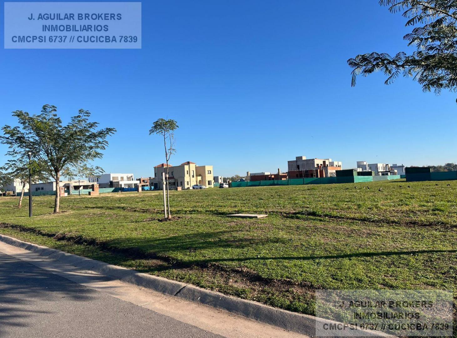 Foto de Terreno en Bella Vista, imagen 5