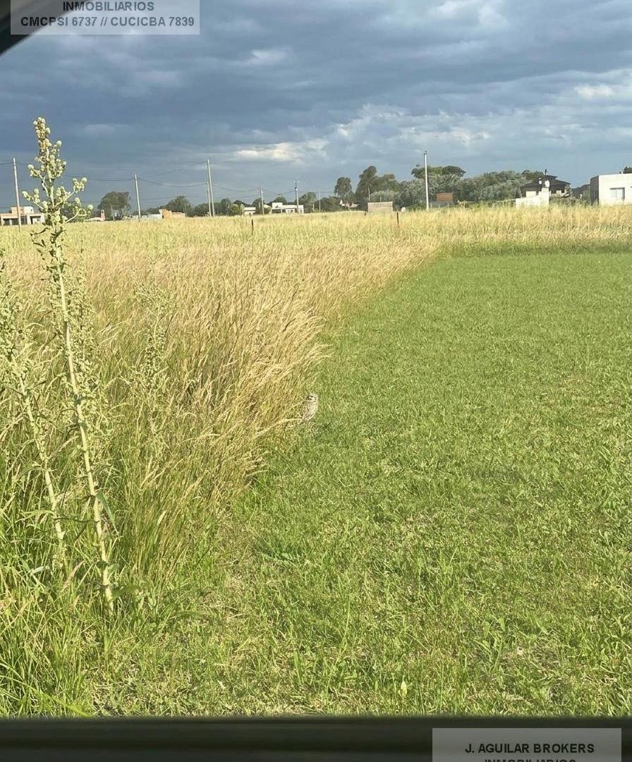 Foto de Terreno en San Eduardo De Chapadmalal, imagen 3