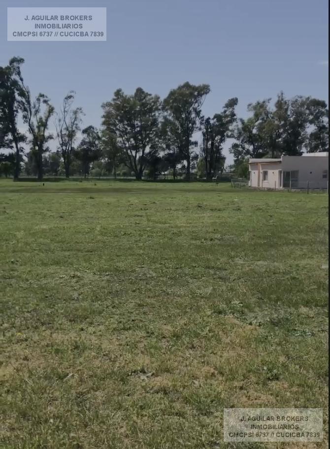 Foto de LOTE INTERNO EN TRES PINOS, FONDO VERDE, imagen 2