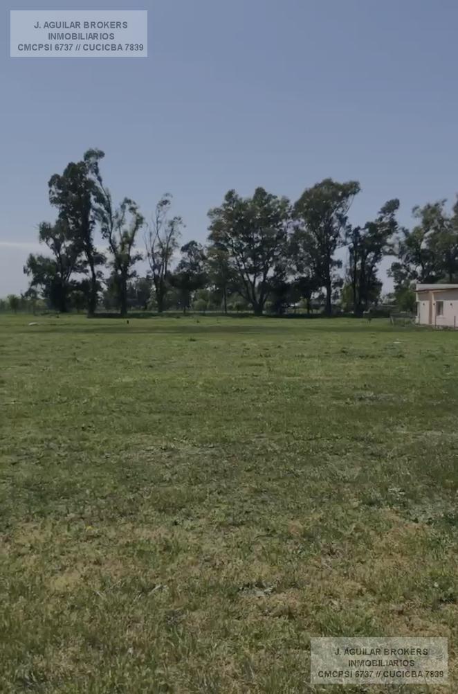 Foto de LOTE INTERNO EN TRES PINOS, FONDO VERDE, imagen 3