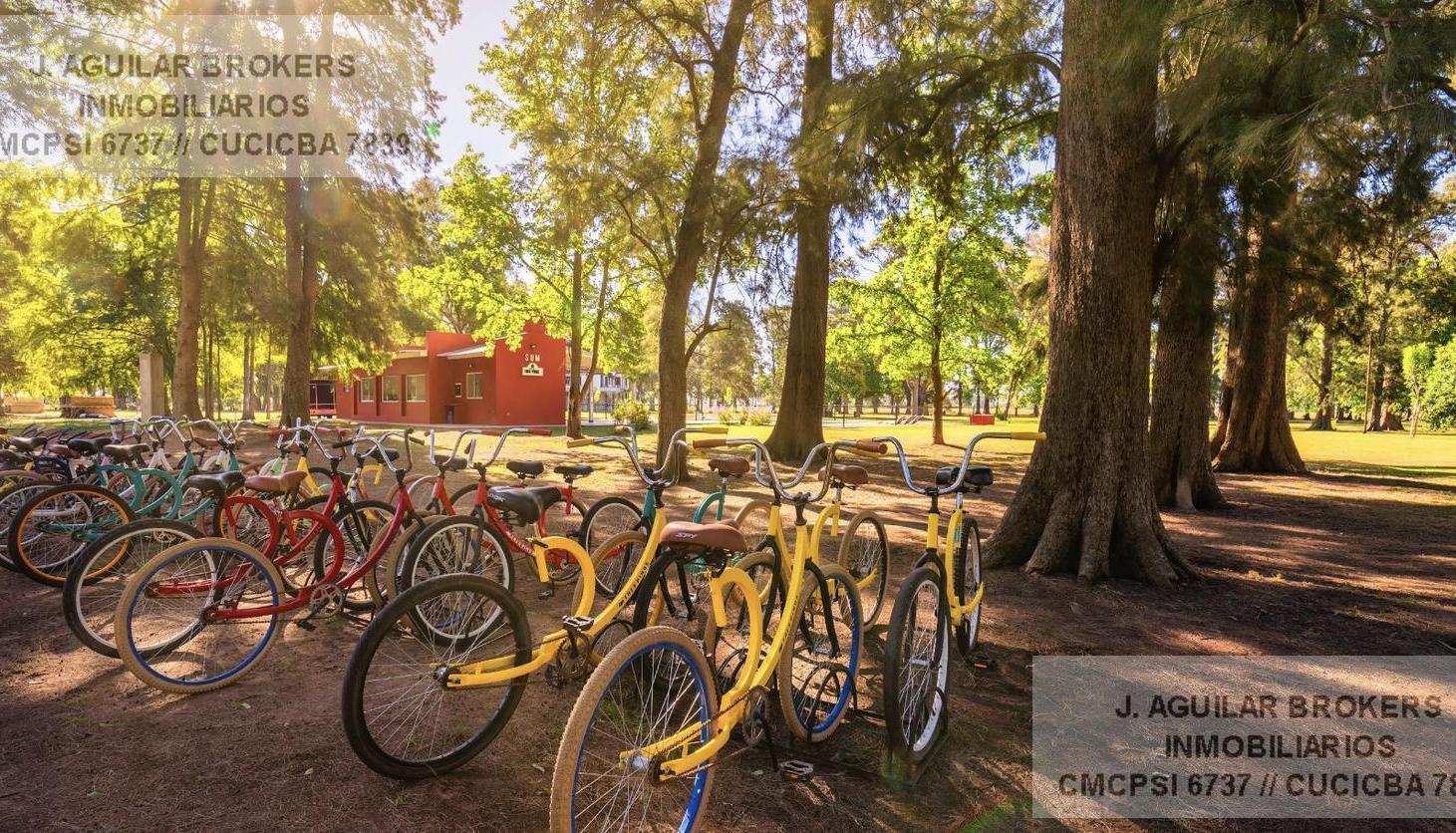Foto de LOTE INTERNO EN TRES PINOS, FONDO VERDE, imagen 4