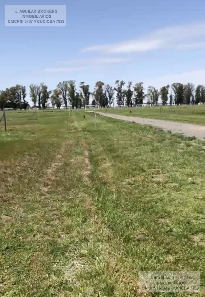 Foto de LOTE INTERNO EN TRES PINOS, FONDO VERDE, imagen 5