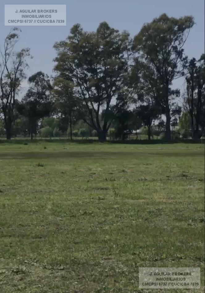 Foto de LOTE INTERNO EN TRES PINOS, FONDO VERDE, imagen 1