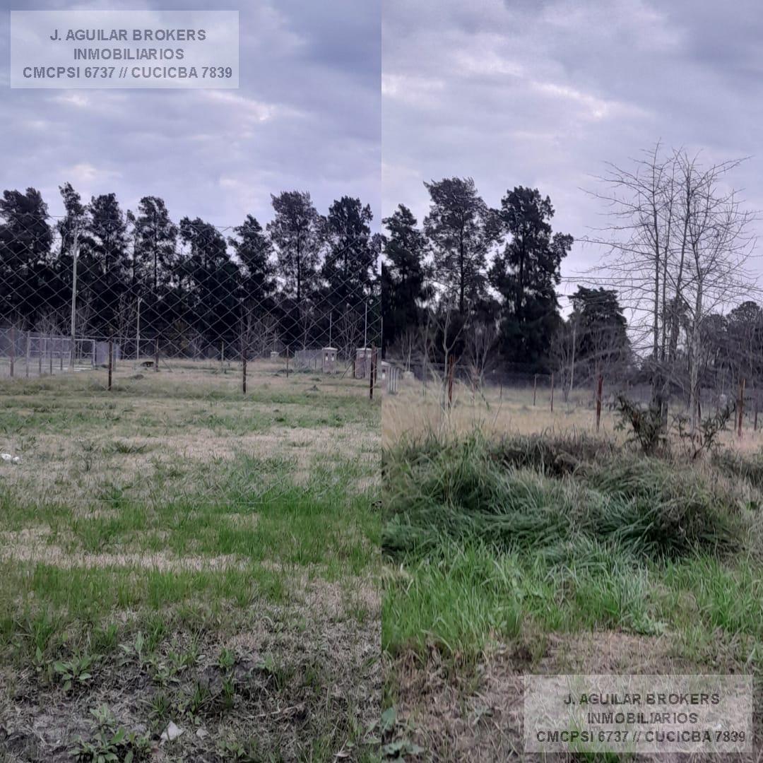 Foto de Terreno en Pampa Pilar, imagen 3