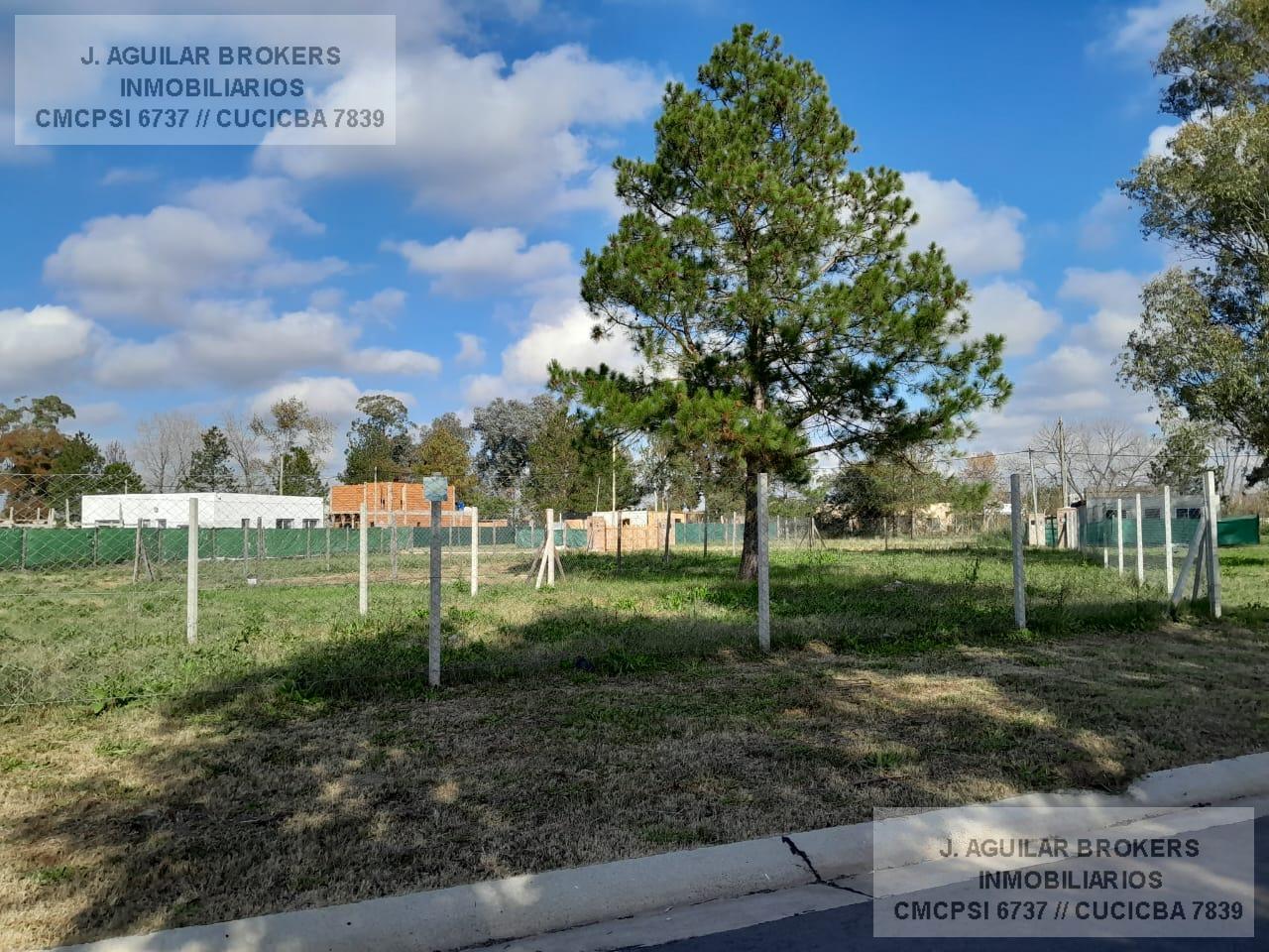 Foto de Terreno en Pampa Pilar, imagen 5