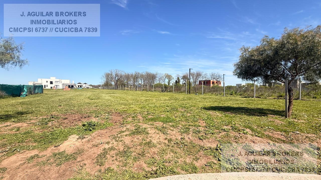 Foto de Terreno en venta - Village Plaza, Bella Vista, imagen 3