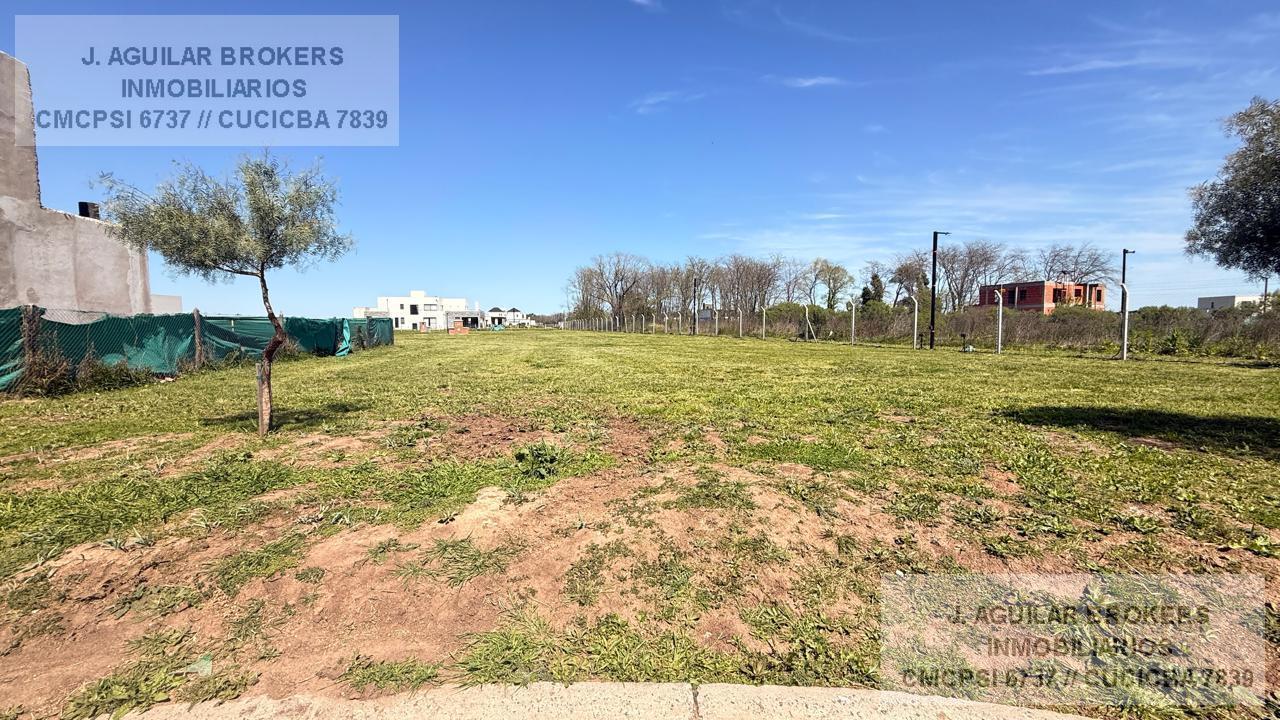 Foto de Terreno en venta - Village Plaza, Bella Vista, imagen 1