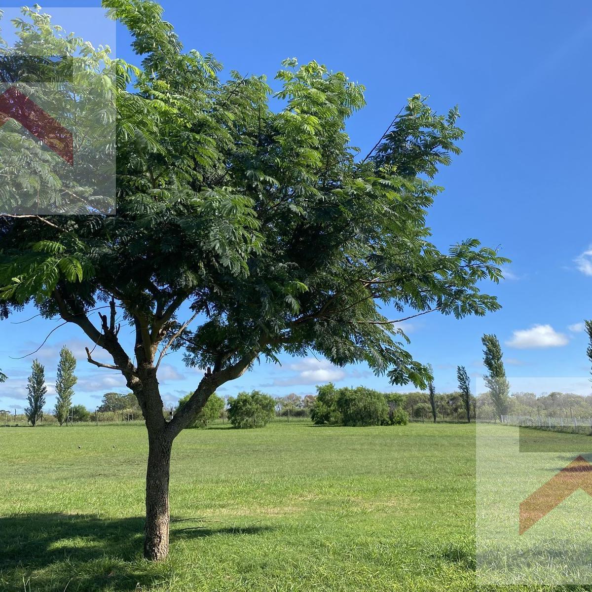 Oportunidad Lote Terreno de 1748m2 en Barrio Cerrado Chacras de la Reserva Cardales