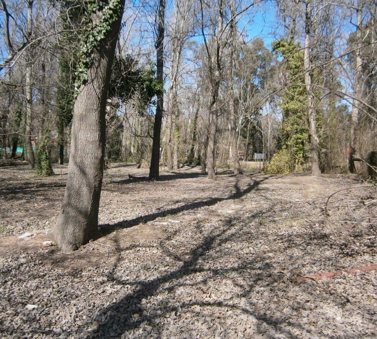 PASEO DEL BOSQUE manzana 146 lote 9