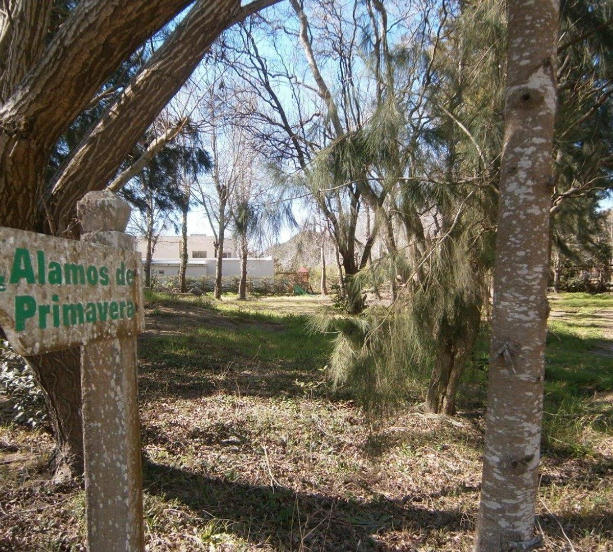 LOTES EN PASEO DEL BOSQUE manzana 160 lote 20 y 19