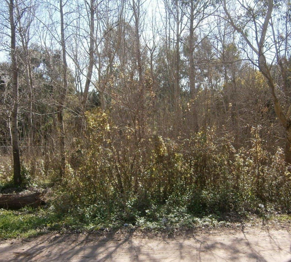 LOTE EN PASEO DEL BOSQUE manzana 163 lote 11. FINANCIADO EN 60 CUOTAS
