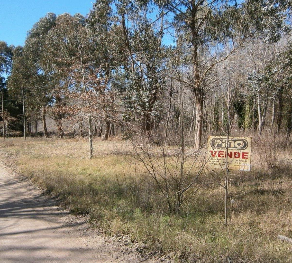 Foto de LOTE EN PASEO DEL BOSQUE manzana F1 lote 21b. FINANCIACION EN 60 CUOTAS, imagen 2