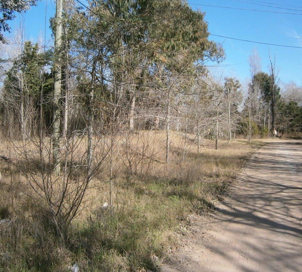 LOTE EN PASEO DEL BOSQUE manzana F1 lote 21b. FINANCIACION EN 60 CUOTAS