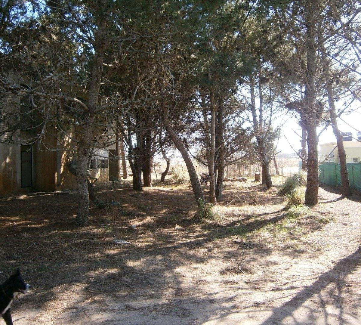 LOTE EN PASEO DEL BOSQUE manzana F1 lote 52. FINANCIA EN 60 CUOTAS