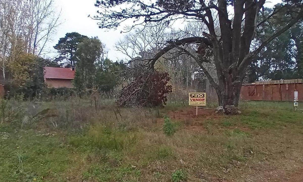  LOTE SOBRE EL MONTE SANTA TERESITA