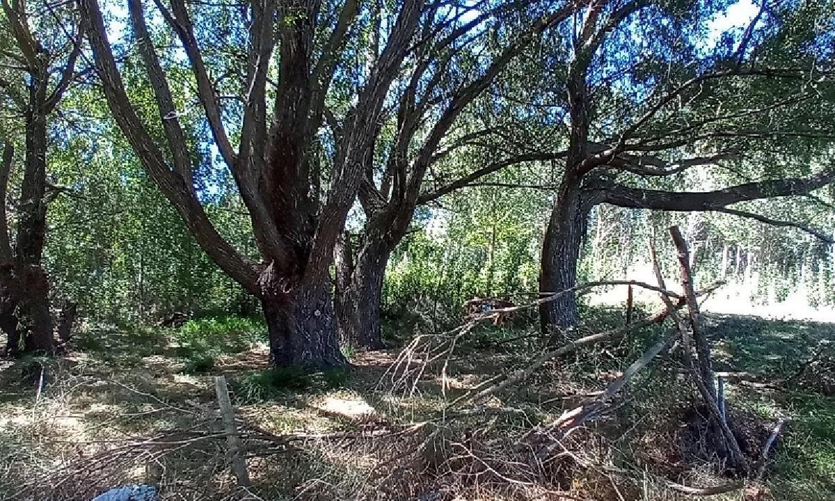 Foto de CUATRO LOTES EN MAR DEL TUYU, imagen 2