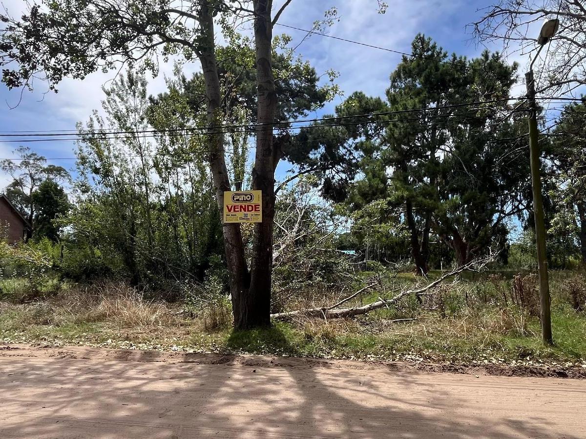 Foto de Terreno de 480 m2 en venta en el Monte de Santa Teresita, imagen 2