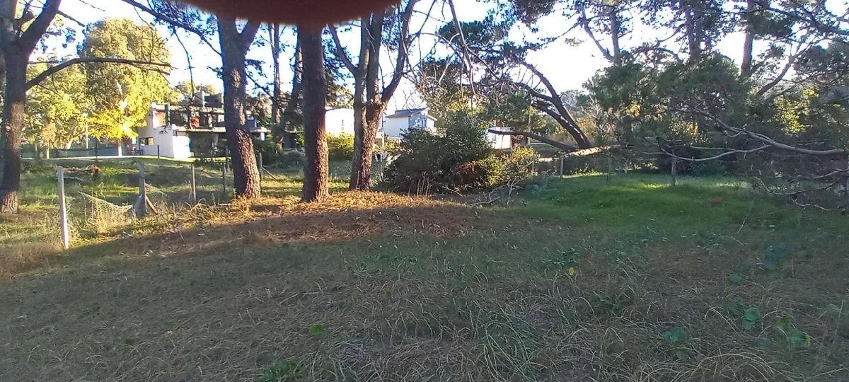 LOTE BALDIO EN SOBRE EL MONTE SANTA TERESITA