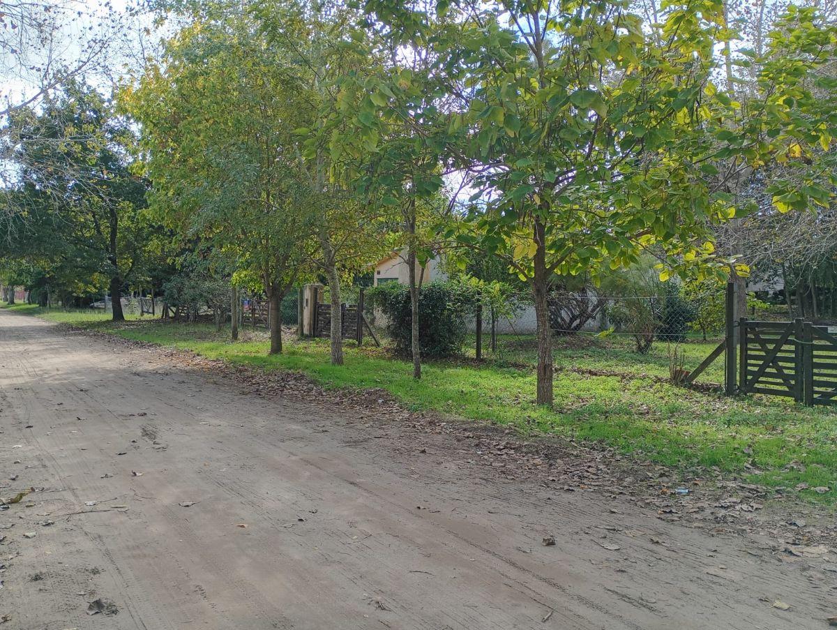 Foto de LOTE BALDIO CON MEJORAS 20x40Mts NIVELADO PILAR ESTRUCTURA A 9 ]CUADRAS, imagen 1