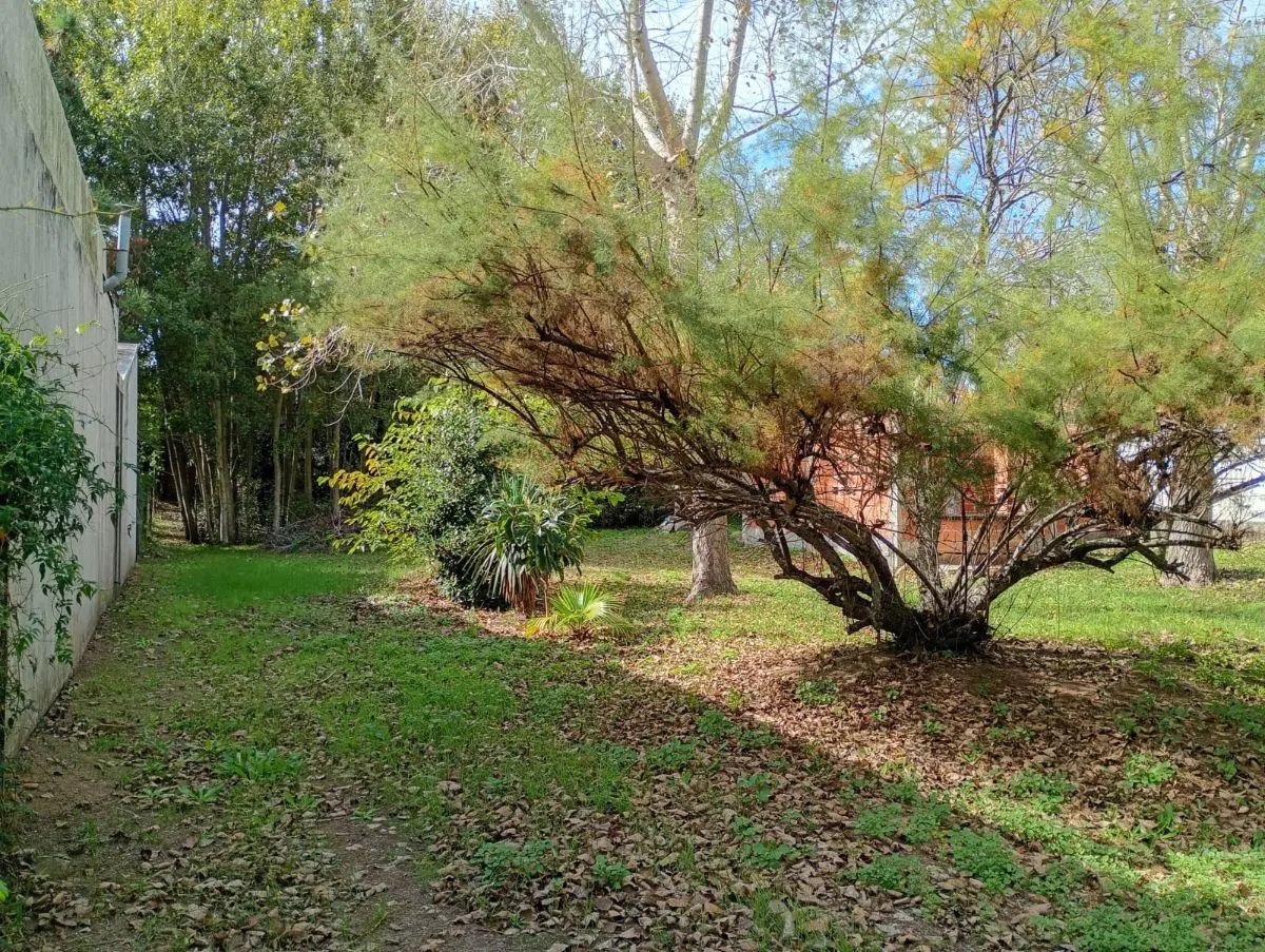 LOTE BALDIO CON MEJORAS 20x40Mts NIVELADO PILAR ESTRUCTURA A 9 ]CUADRAS DEL MAR 3