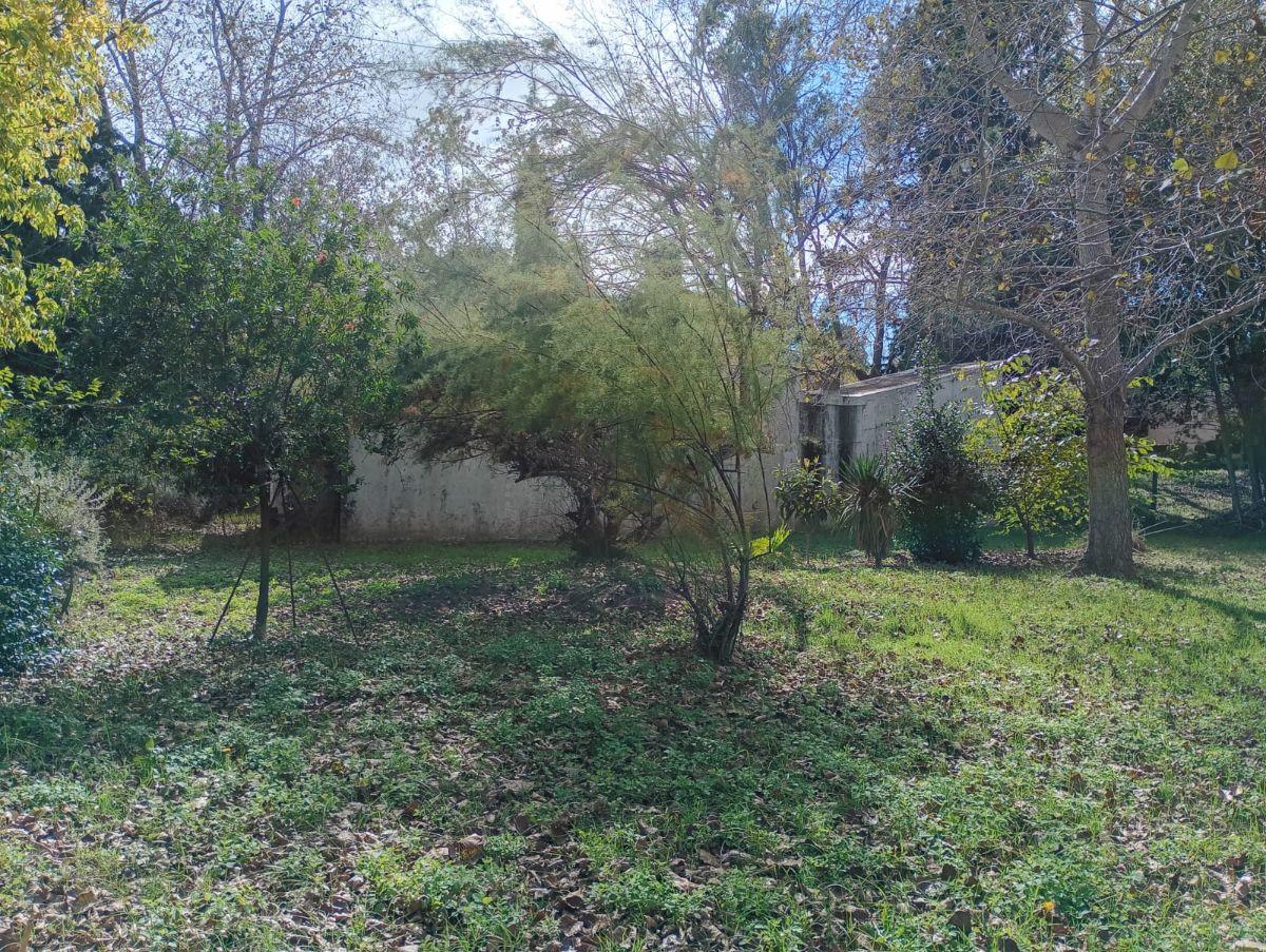 Foto de LOTE BALDIO CON MEJORAS 20x40Mts NIVELADO PILAR ESTRUCTURA A 9 ]CUADRAS, imagen 4