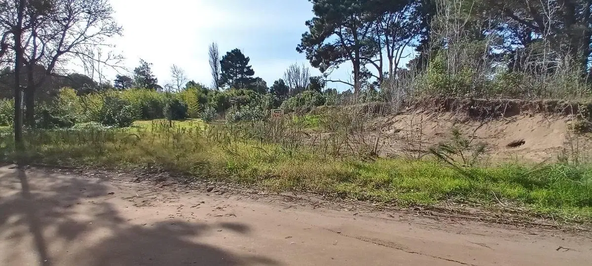 HERMOSO LOTE EN EL MONTE DE SANTA TERESITA A 300M DEL MAR 4