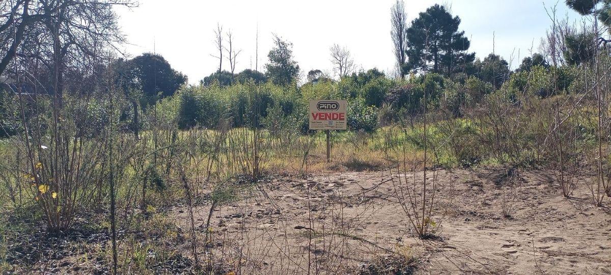 HERMOSO LOTE EN EL MONTE DE SANTA TERESITA A 300M DEL MAR