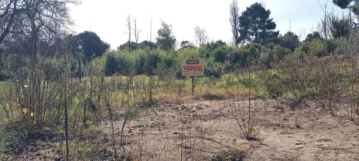 HERMOSO LOTE EN EL MONTE DE SANTA TERESITA A 300M DEL MAR 3