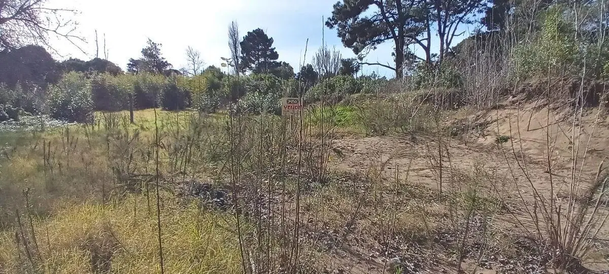 HERMOSO LOTE EN EL MONTE DE SANTA TERESITA A 300M DEL MAR 1