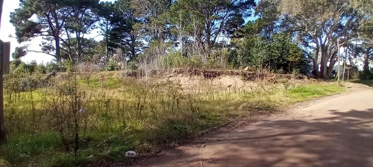 HERMOSO LOTE EN EL MONTE DE SANTA TERESITA A 300M DEL MAR 2
