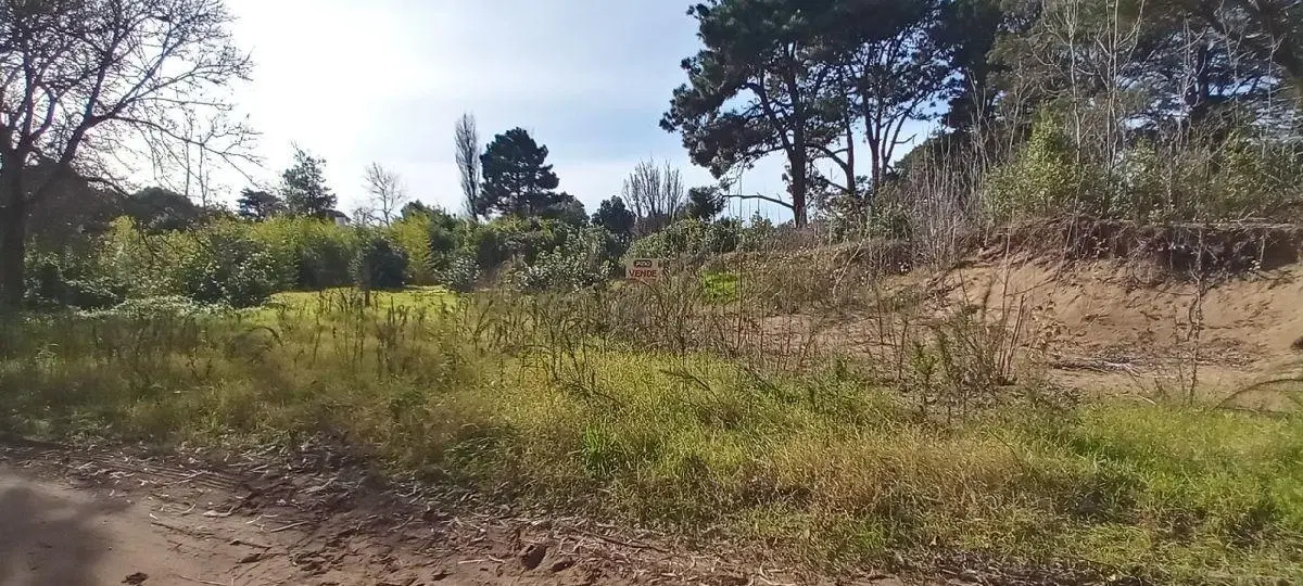 HERMOSO LOTE EN EL MONTE DE SANTA TERESITA A 300M DEL MAR 8