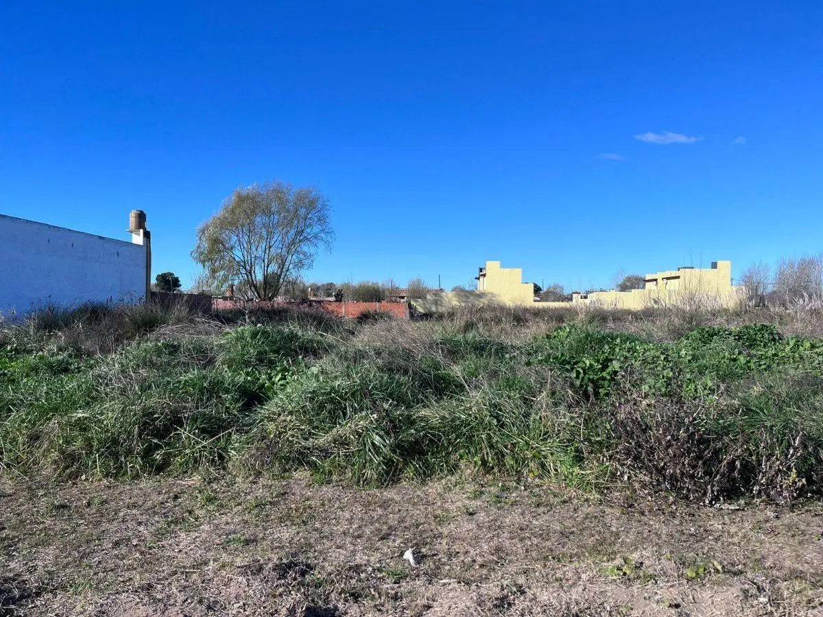 LOTE BALDIO- MAR DEL TUYU 5
