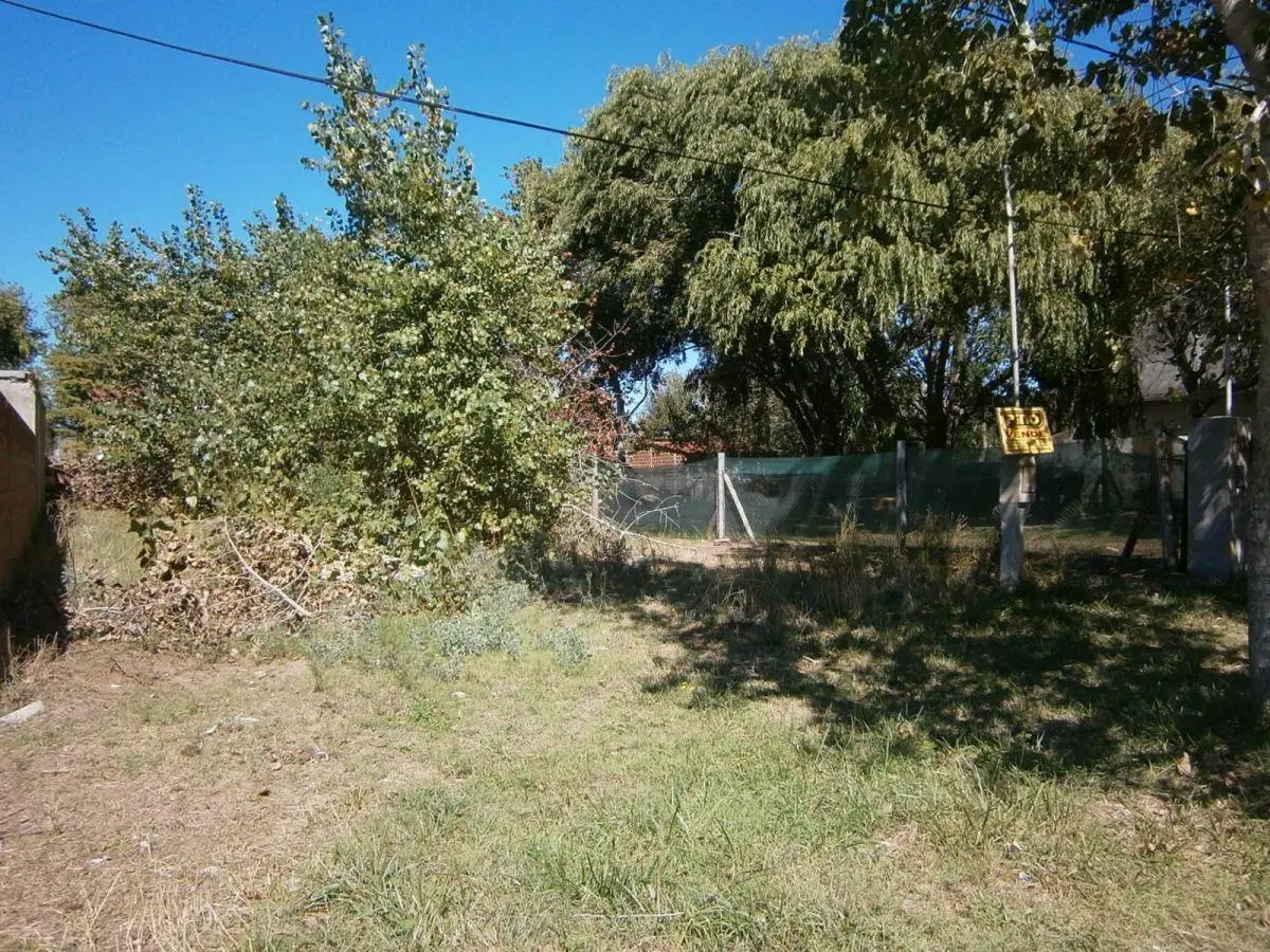 LOTE BALDIO - SANTA TERESITA 5