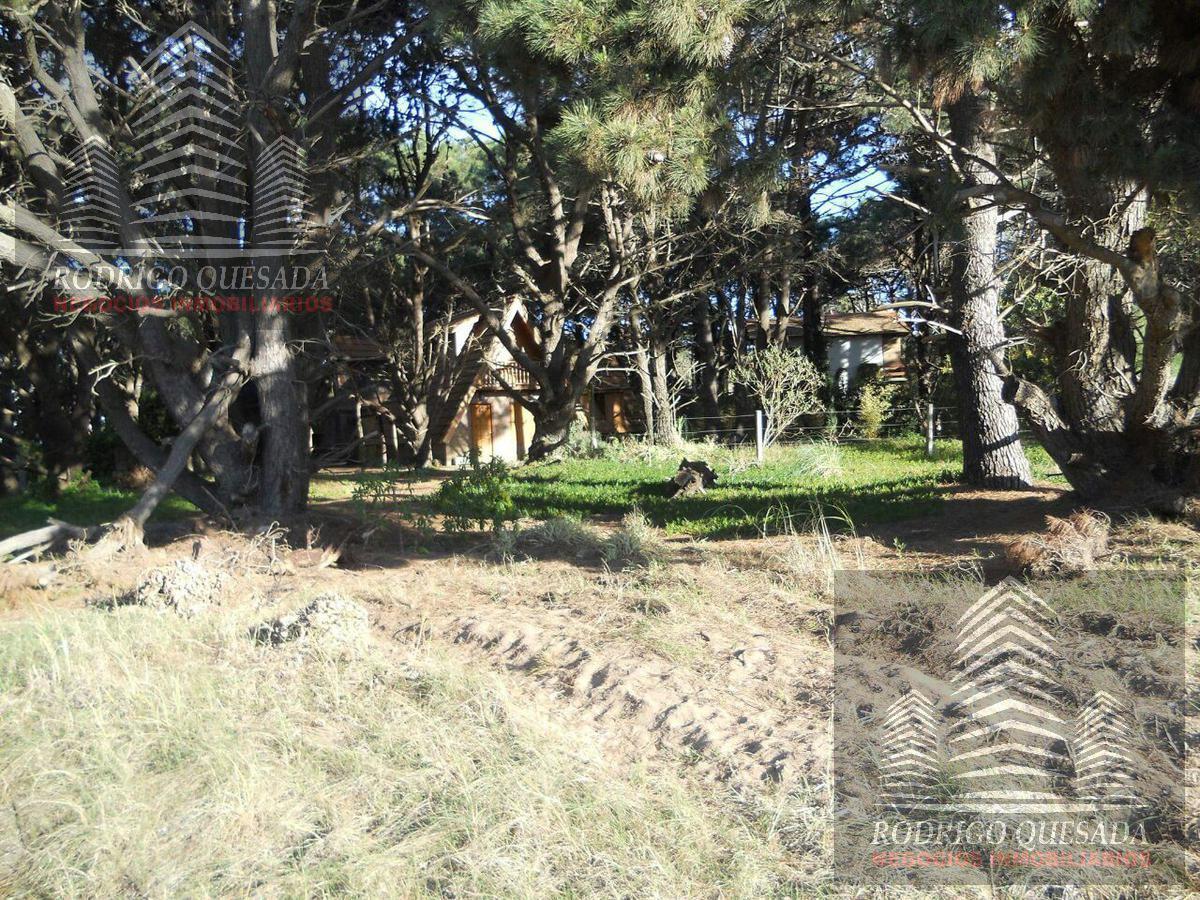 Excelente Lote en Las Camelias, Costa del Este 4