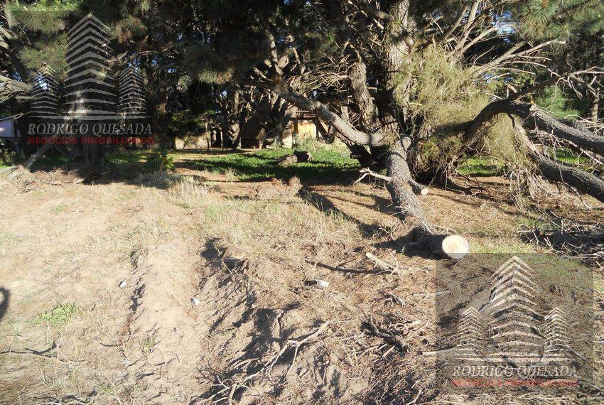 Excelente Lote en Las Camelias, Costa del Este 5