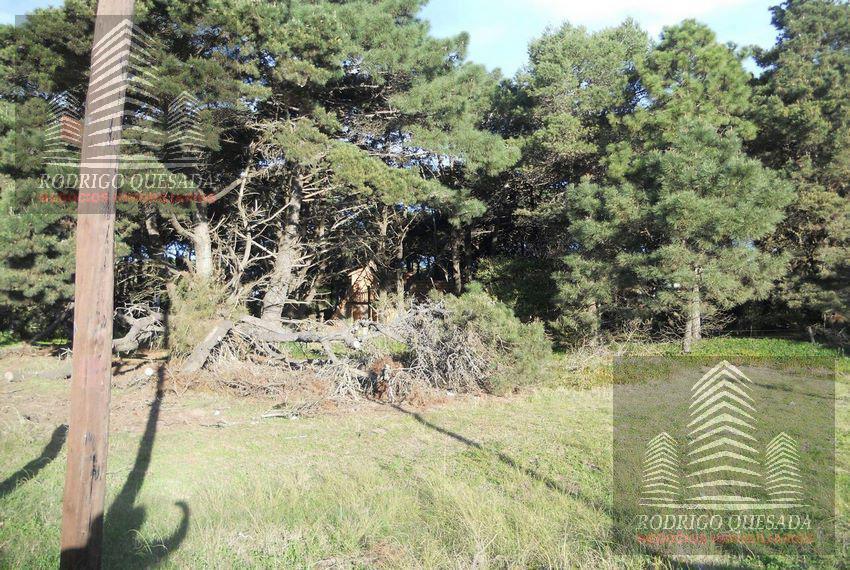 Excelente Lote en Las Camelias, Costa del Este 3