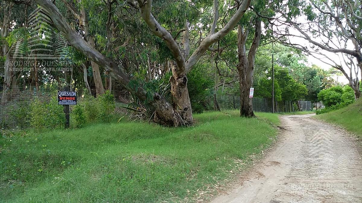 Terreno - Aguas Verdes 1