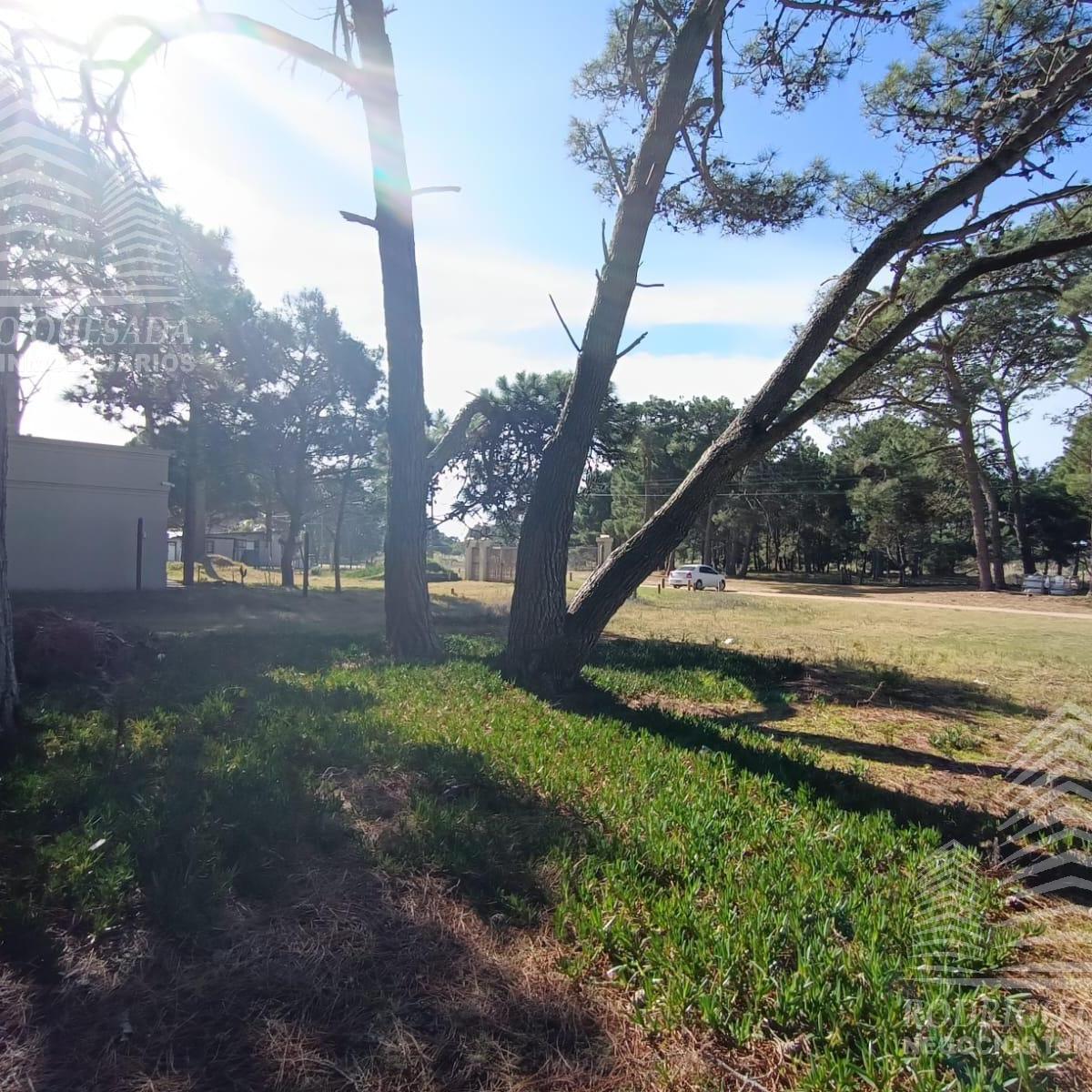 |LOTE DE 1000MTS²| |BARRIO RESIDENCIAL| |EL PINAR| |LA LUCILA|