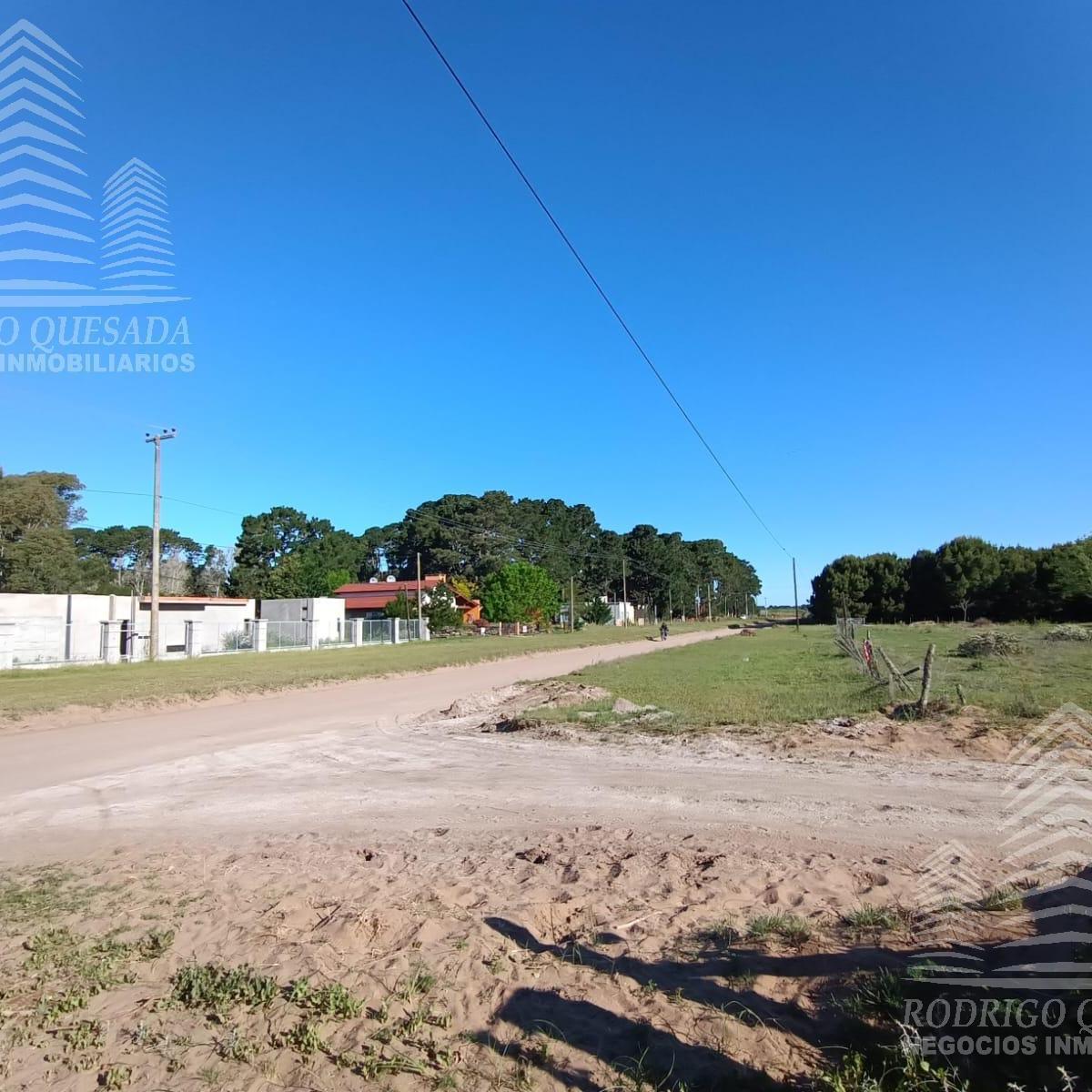|18 Ha en El Pinar| |ideal Loteo| |la Lucila| 3