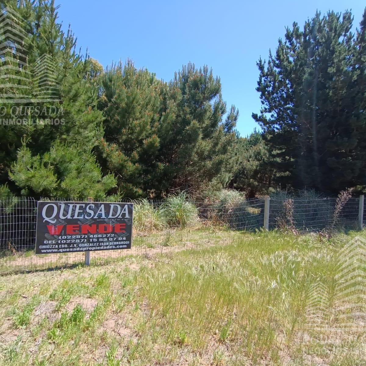 |18 Ha en El Pinar| |ideal Loteo| |la Lucila| 4