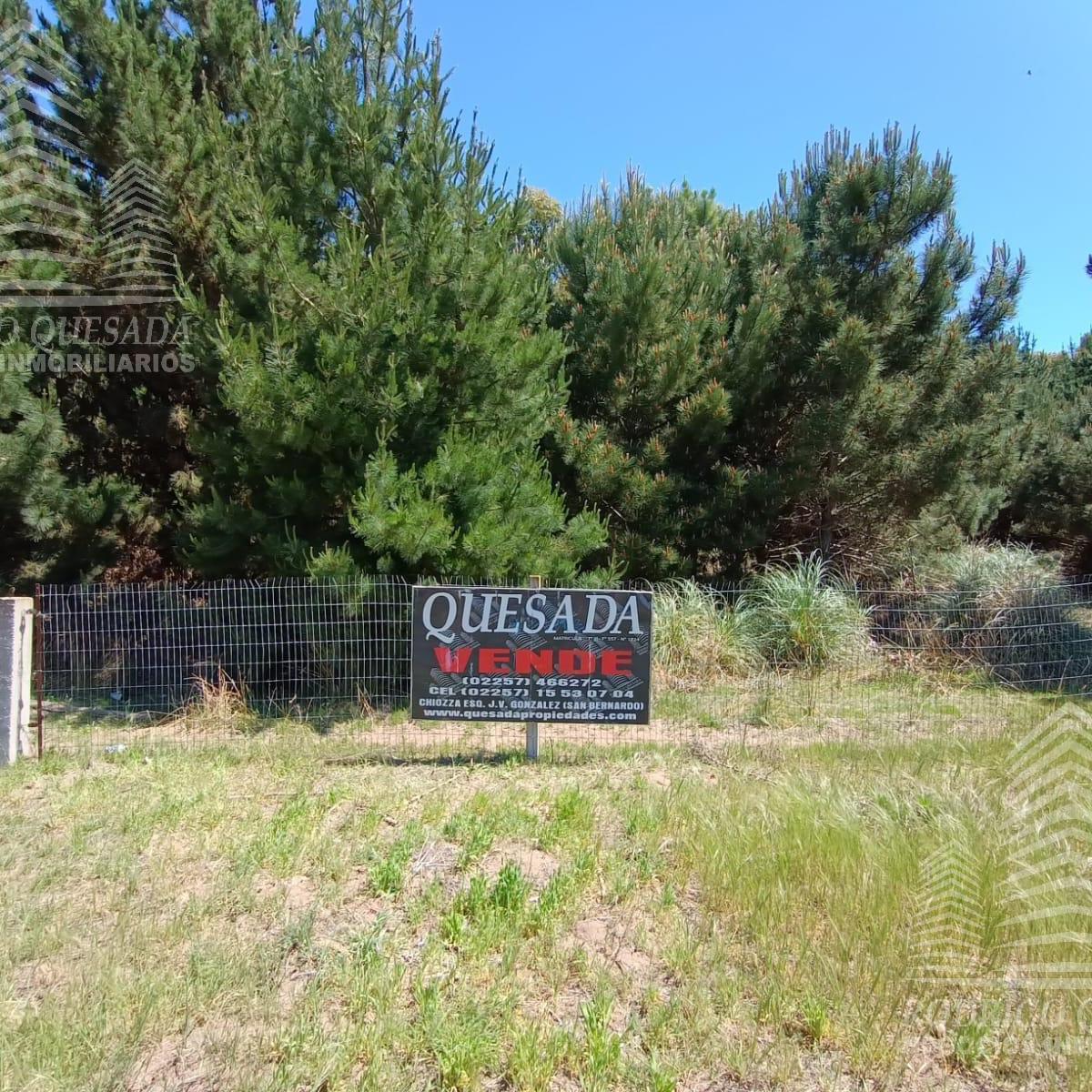 |18 Ha en El Pinar| |ideal Loteo| |la Lucila| 2