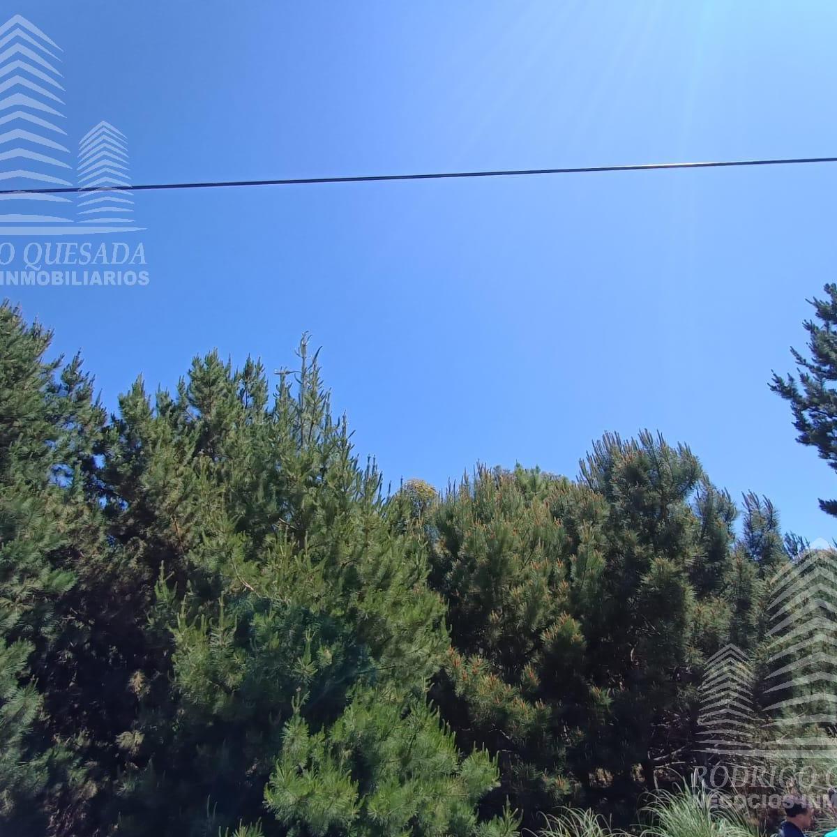 |18 Ha en El Pinar| |ideal Loteo| |la Lucila| 1