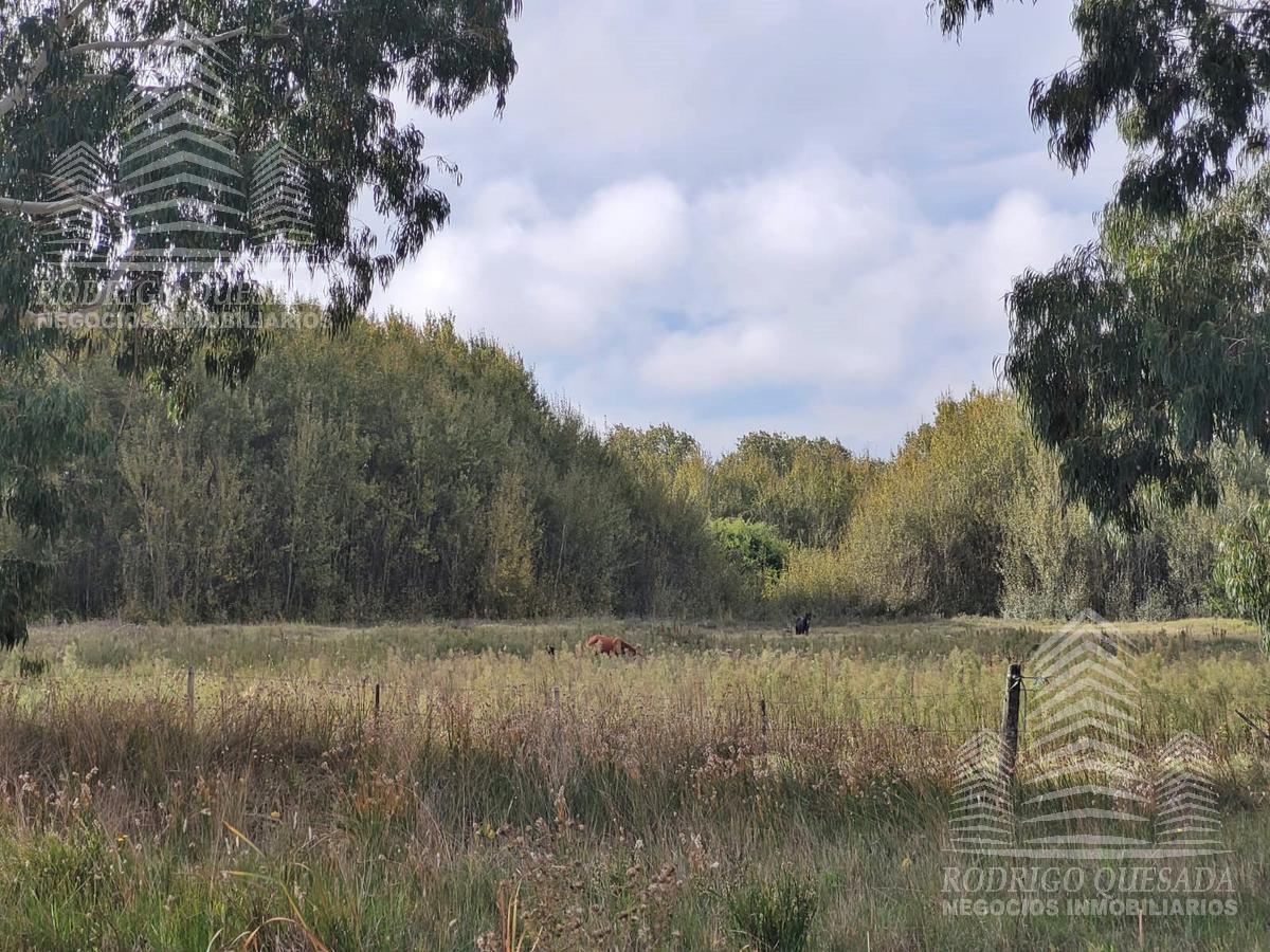 Foto de Terreno en Paraje Pavon, imagen 2