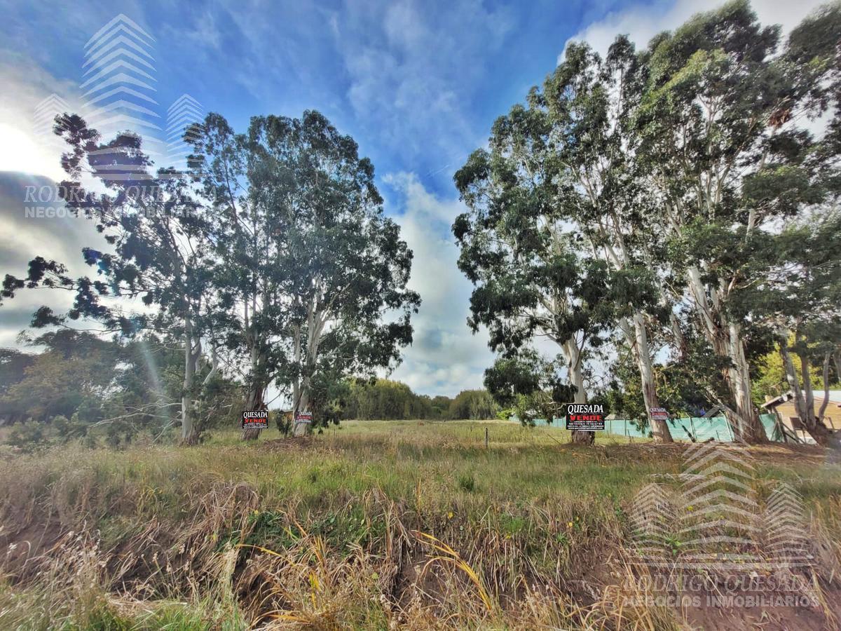 Foto de Terreno en Paraje Pavon, imagen 5