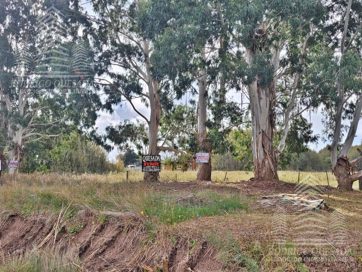 Foto de Terreno en Paraje Pavon, imagen 4