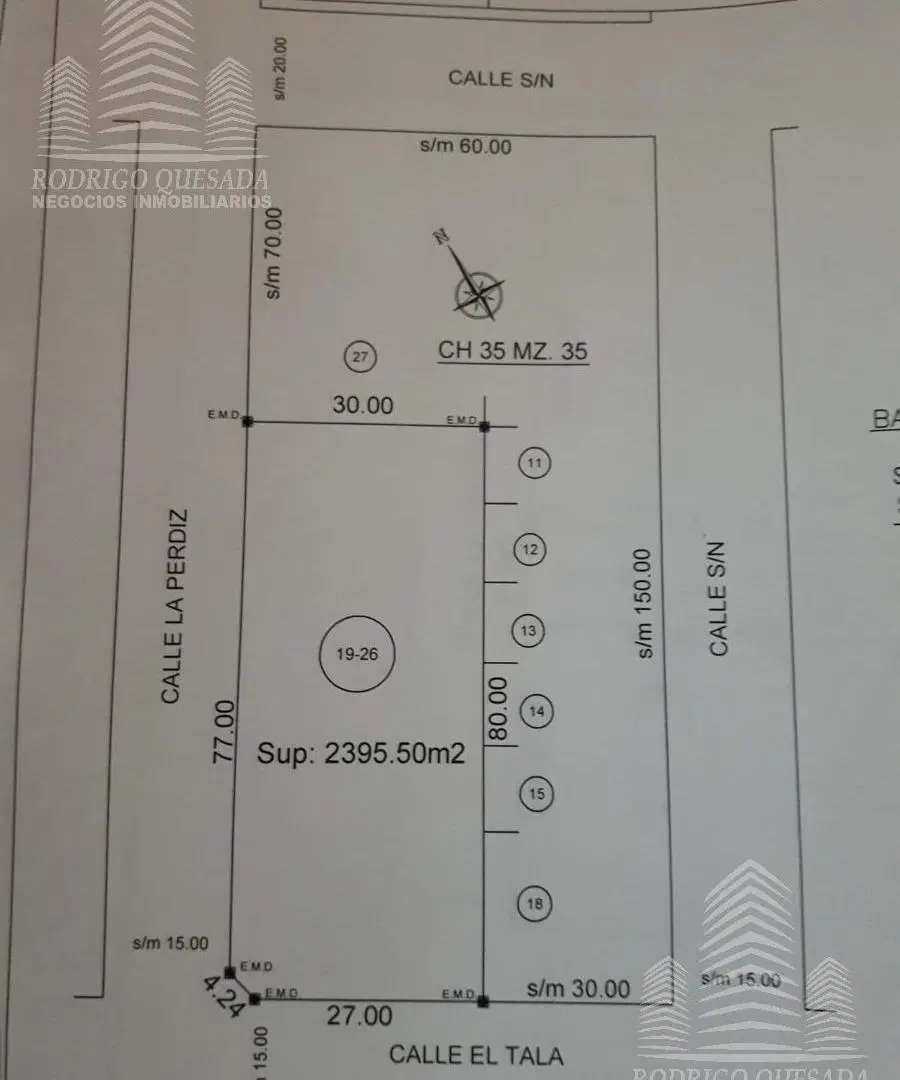 Plano 3
