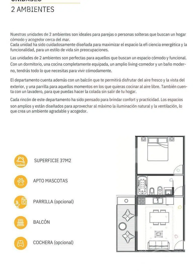 Plano 6